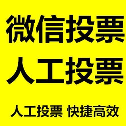 马鞍山市投票活动拉票能被查出来吗？如何操作能不被发现？